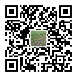 官方微信二维码